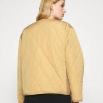 Large Green Bell Pepper